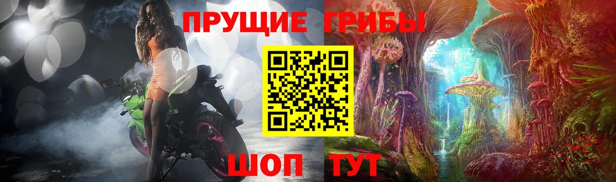 Галлюциногенные грибы мицелий  Вход с VPN  Сланцы  где найти   Галлюциногенные грибы Psilocybe 